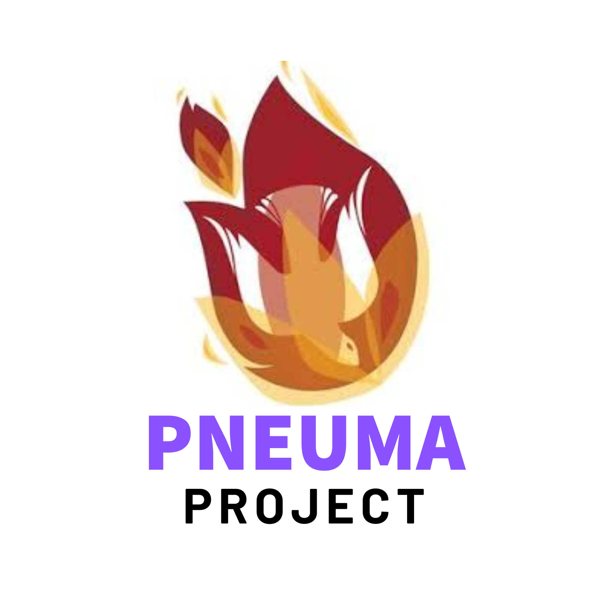 Pneuma Project 
